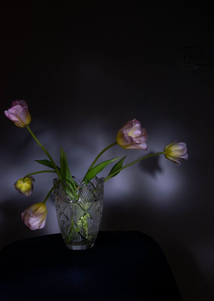 Photograph by Nora Cheprasova