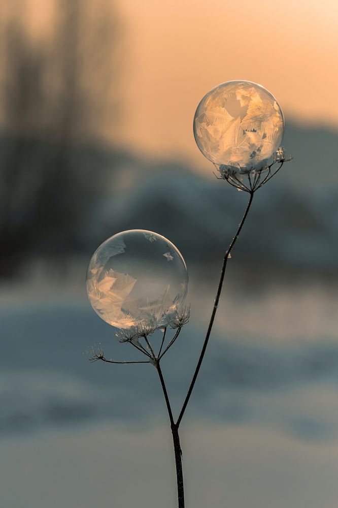 Фотография автора Andrey Pristyazhnyuk