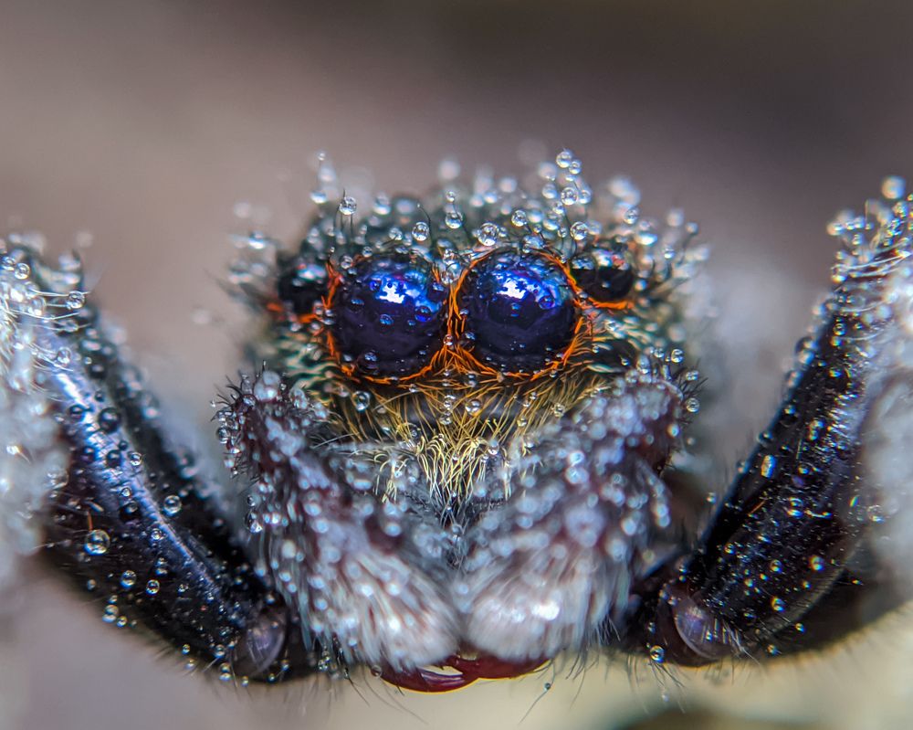 Photograph by Ajeesh A