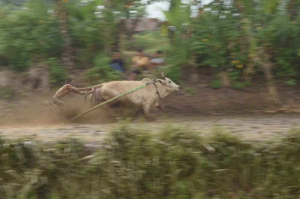 Photograph by weldi musni