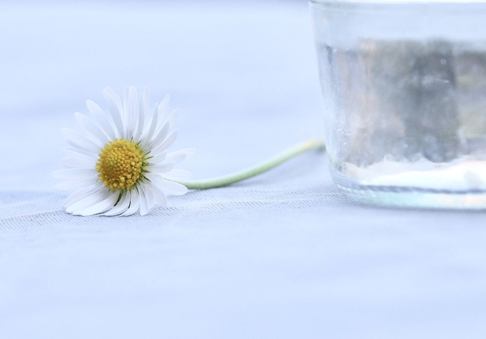 Photograph by Малика Маткарим