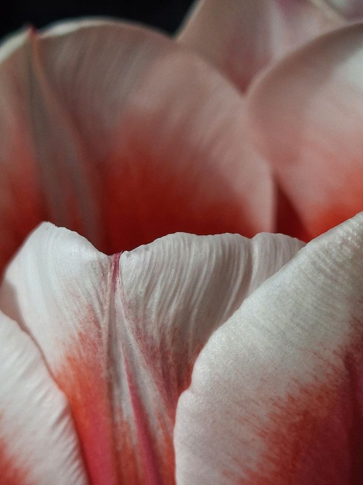 Photograph by Елена Леоненко