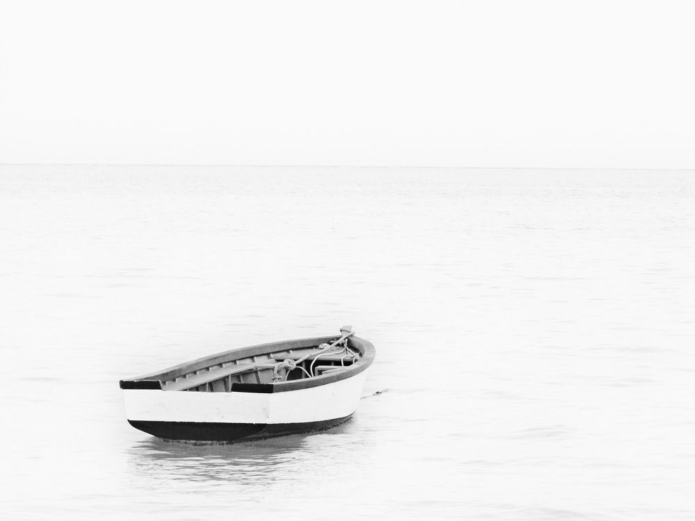 Photograph by Rajesh KP