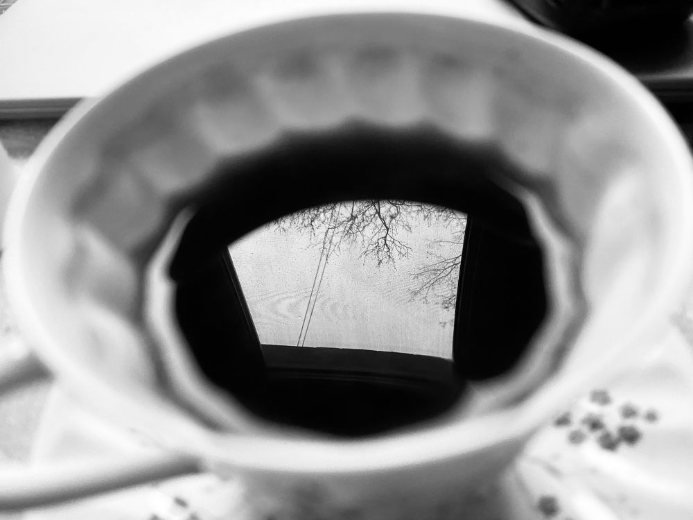 Фотография автора Анна Могилева