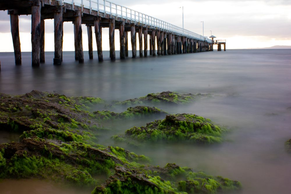 Photograph by Shrinivas Kulkarni