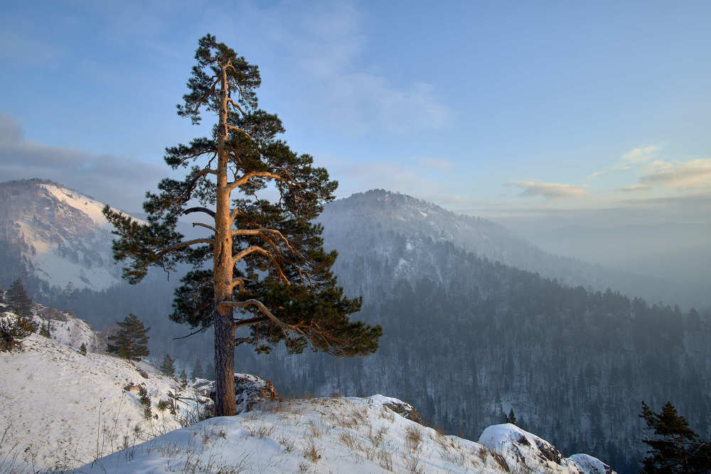 Photograph by Александр Могилатов