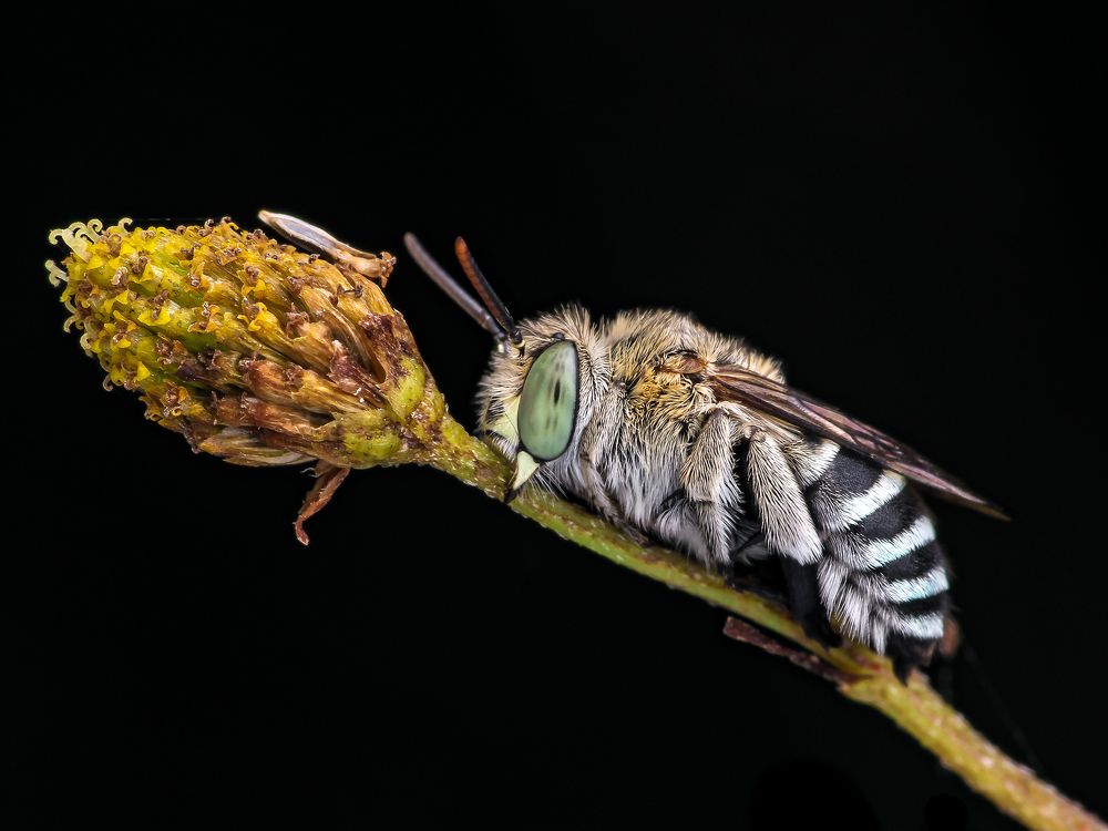 Photograph by Bidyut Kalita