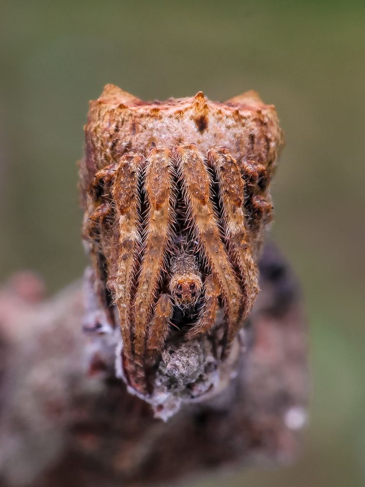 Photograph by Bidyut Kalita