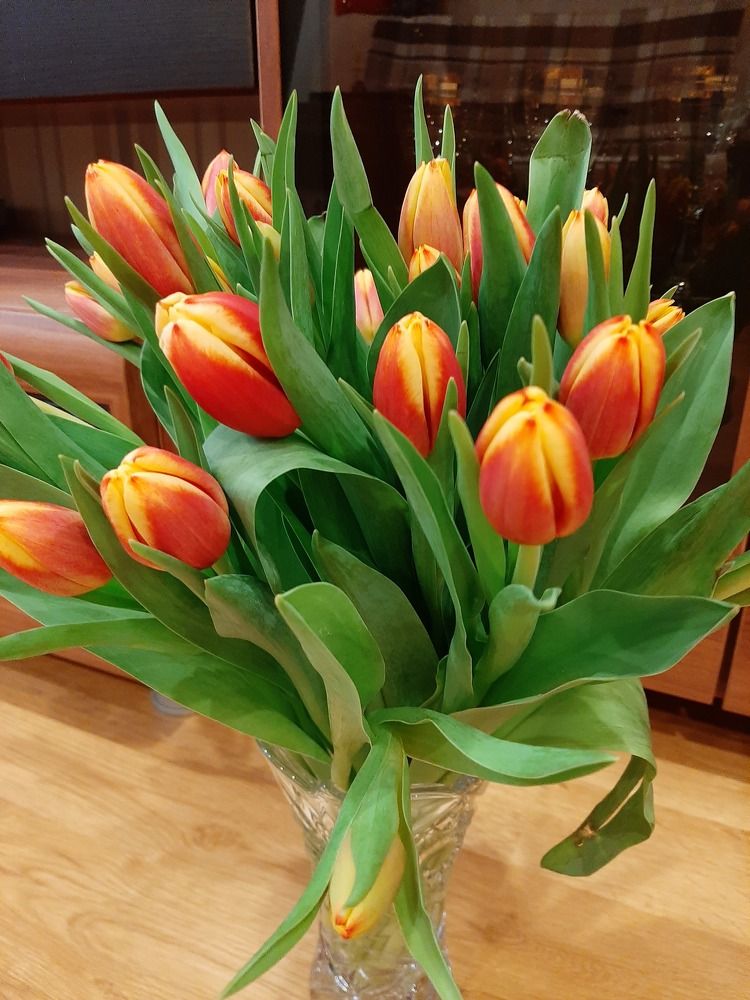 Photograph by Наталия