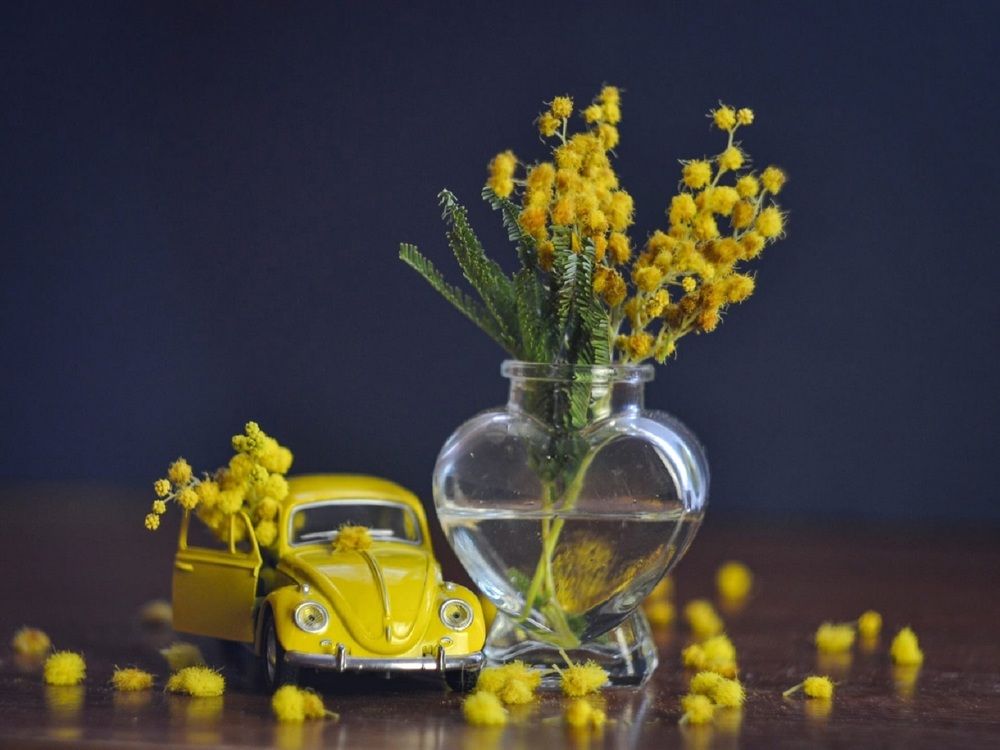 Photograph by Артём Зелюкин
