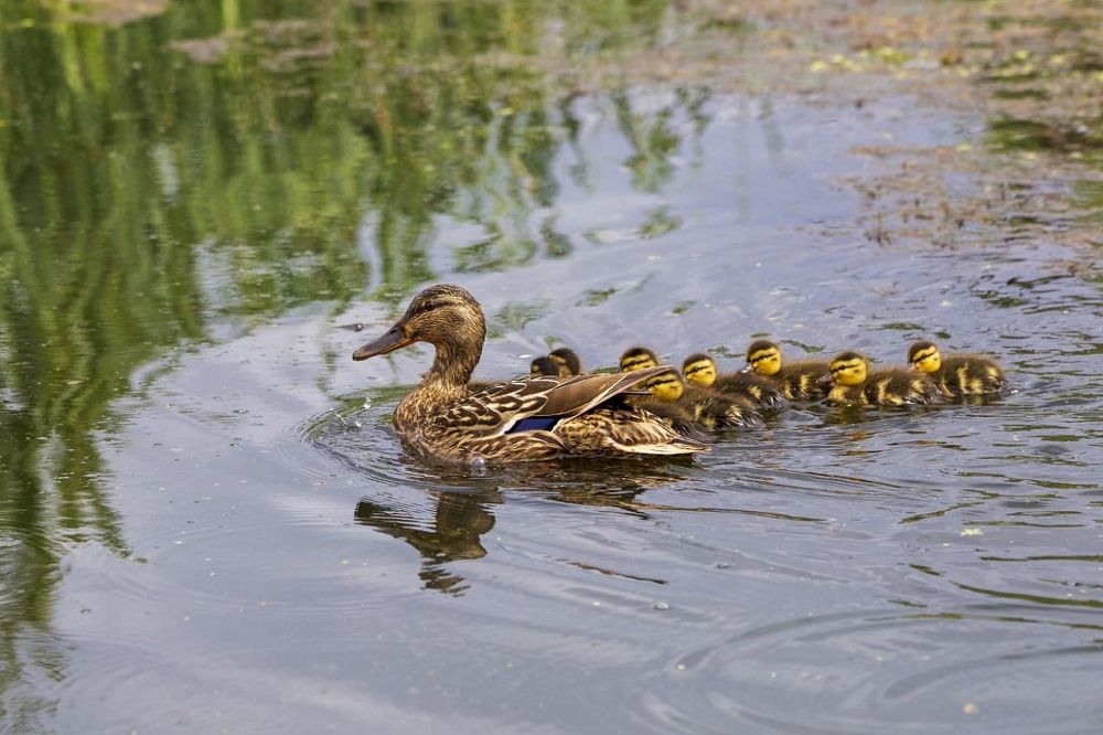 Photograph by Игорь Селин