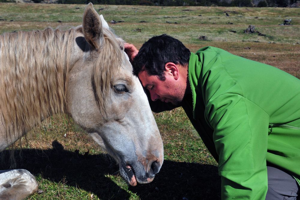 Photograph by SI SABER LOTFI