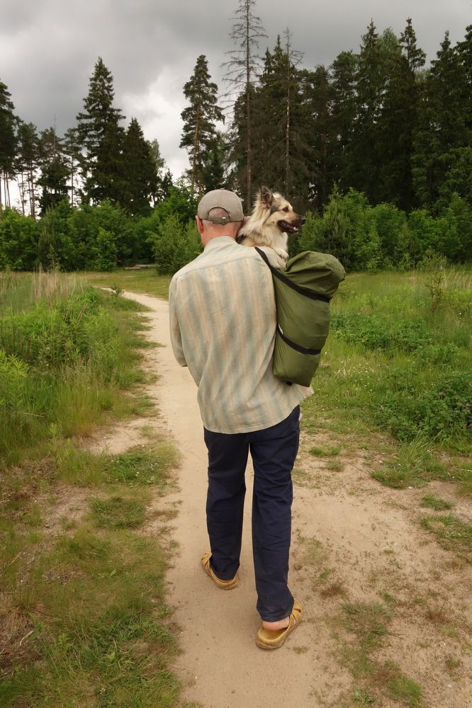 Возвращение с прогулки