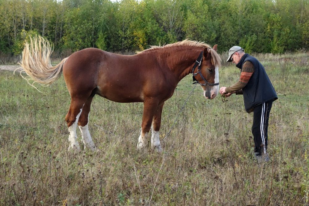 Давай дружить