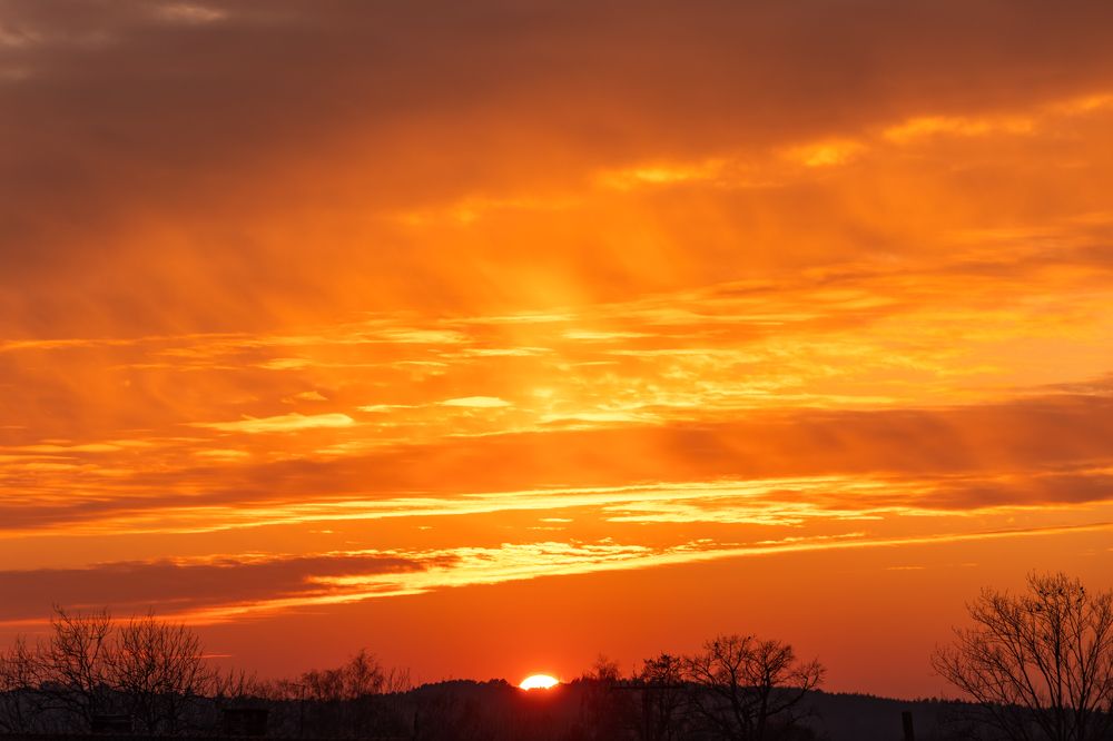 Photograph by Alexander Pakhomov