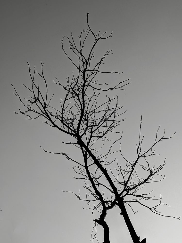 Photograph by Susmita Ghosh