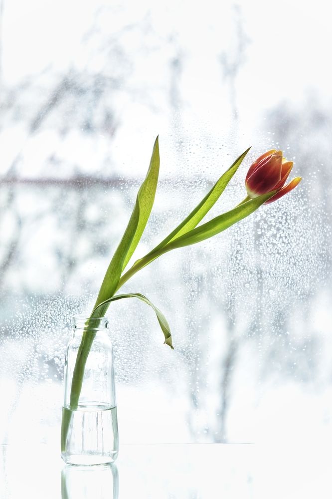 Фотография автора Анастасия Руднева