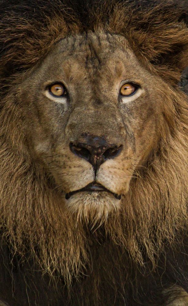 Photograph by Ayush tripathi