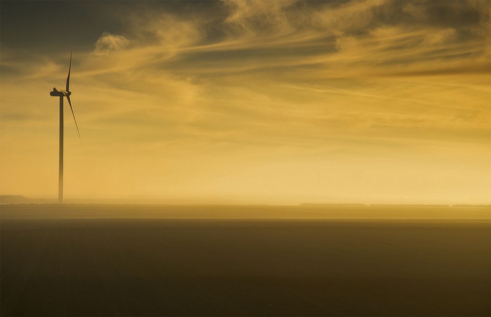 Photograph by Natesh Rao