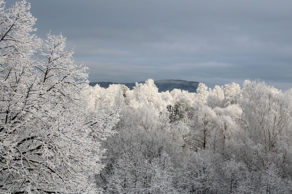 Photograph by Farah Ali