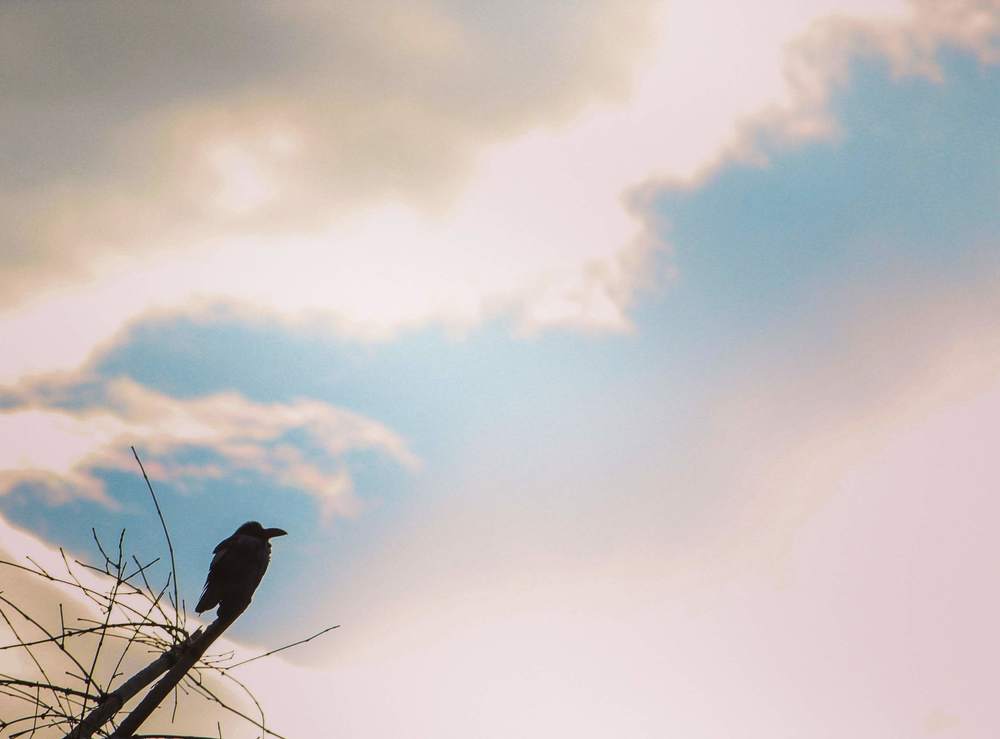 Photograph by Santosh Shrestha