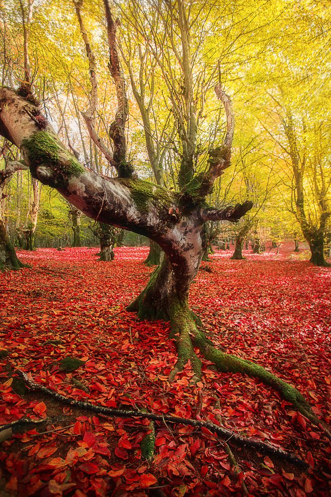 Photograph by Ebrahim soheyli