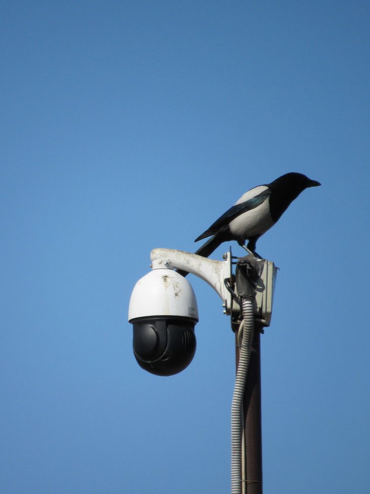 Photograph by Марина Савченко