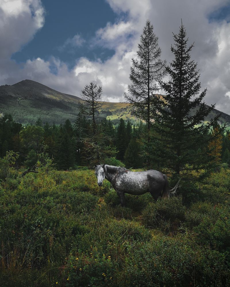 Photograph by Андрей Родионов