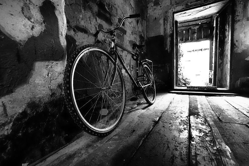 Photograph by Дмитрий Потапов