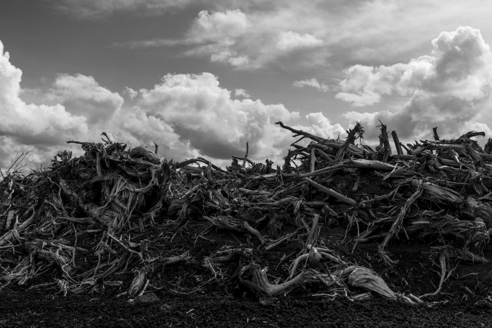 Photograph by Susanna Kari