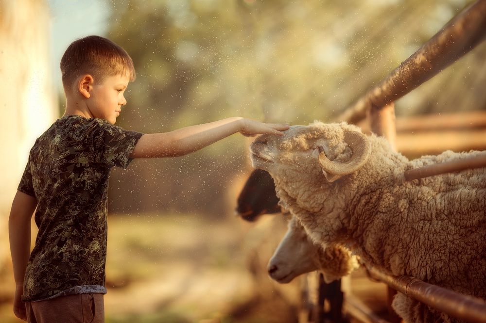 Photograph by Наталья Кучеренко