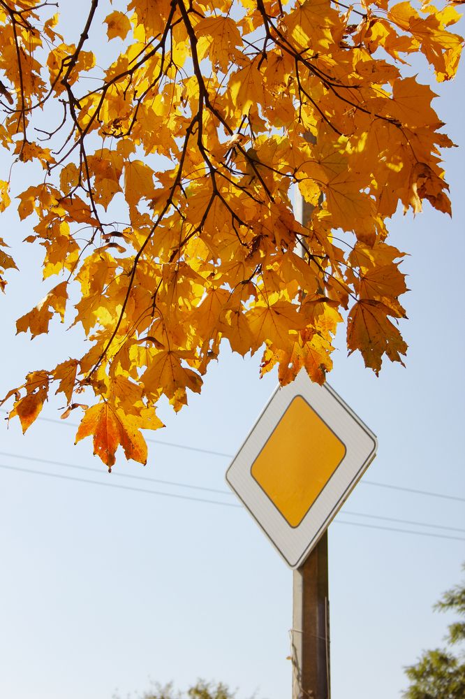 Photograph by Natalia Safronova