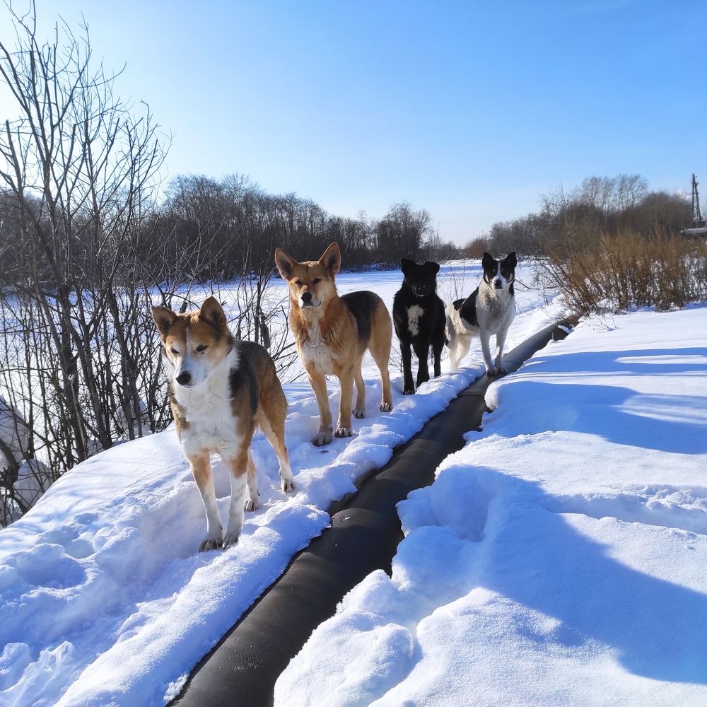 Photograph by Саттарова Ирина