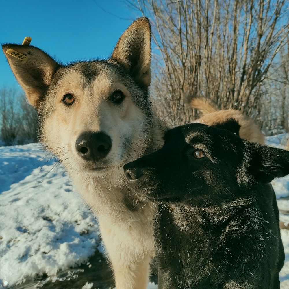 Photograph by Саттарова Ирина