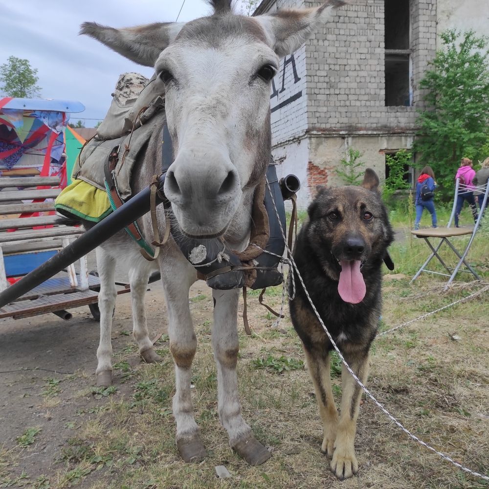 Photograph by Саттарова Ирина