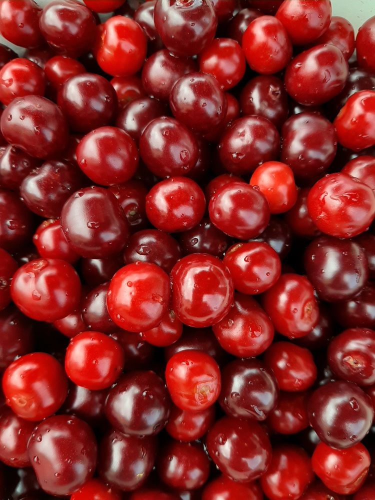 Photograph by Наталия