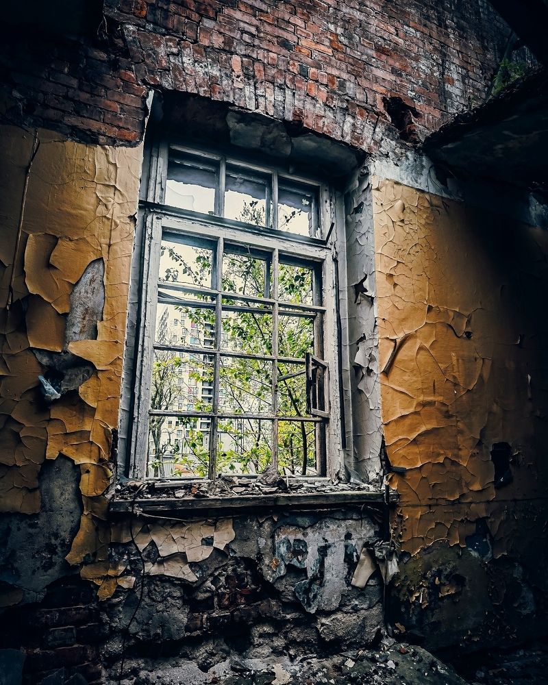 Photograph by Сергей Печников