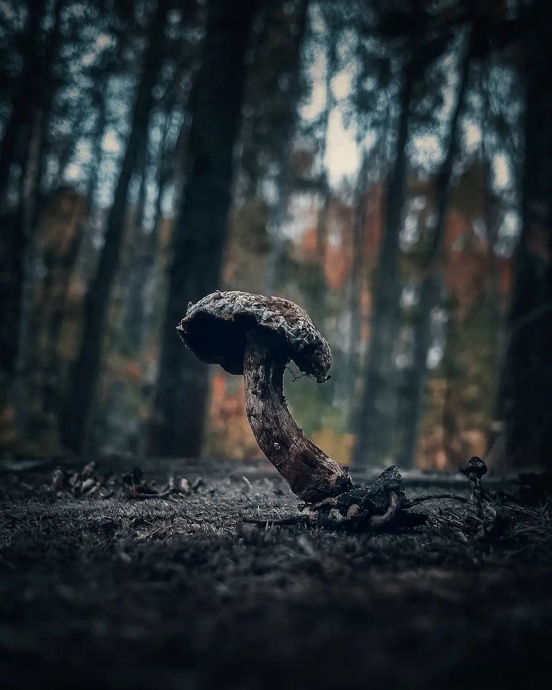 Photograph by Сергей Печников