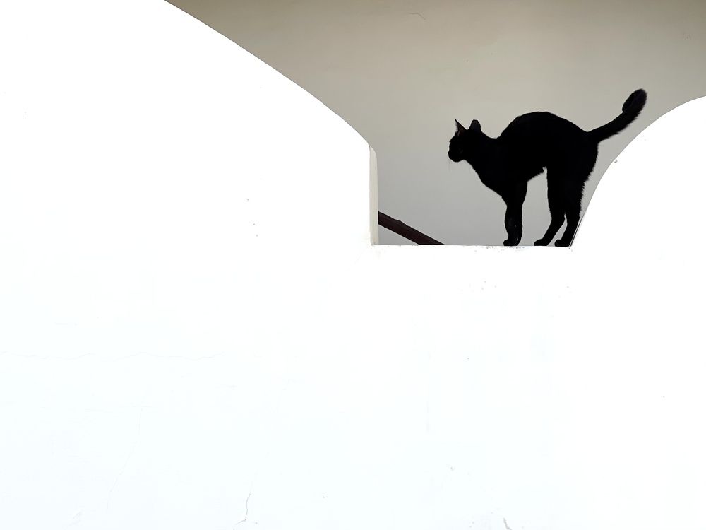 Photograph by Evgenia Barinova