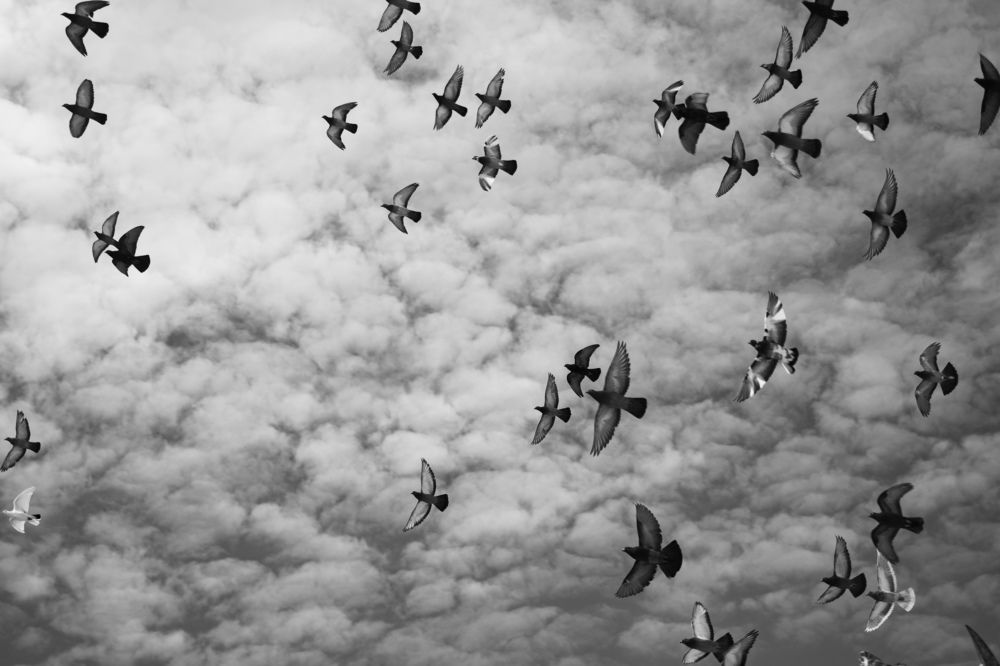 Photograph by Mariana