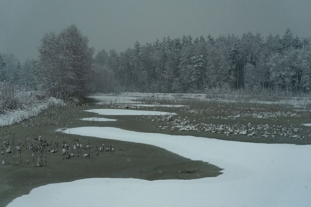 Photograph by Piotr Hryniak