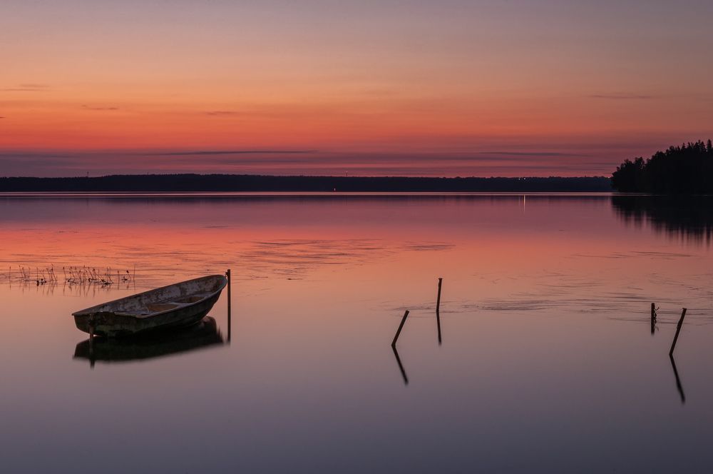 Photograph by Елизавета Белоусова