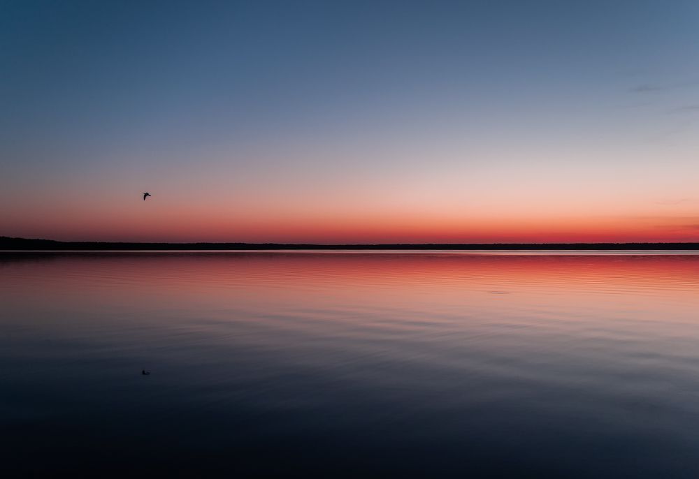 Photograph by Елизавета Белоусова