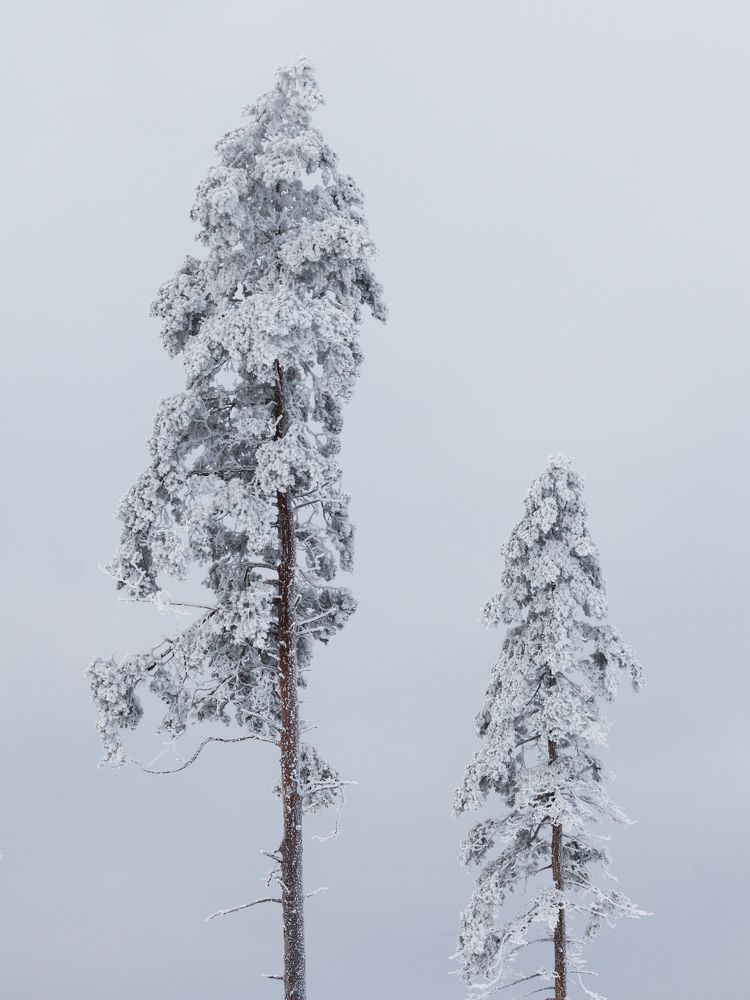 Photograph by Елизавета Белоусова