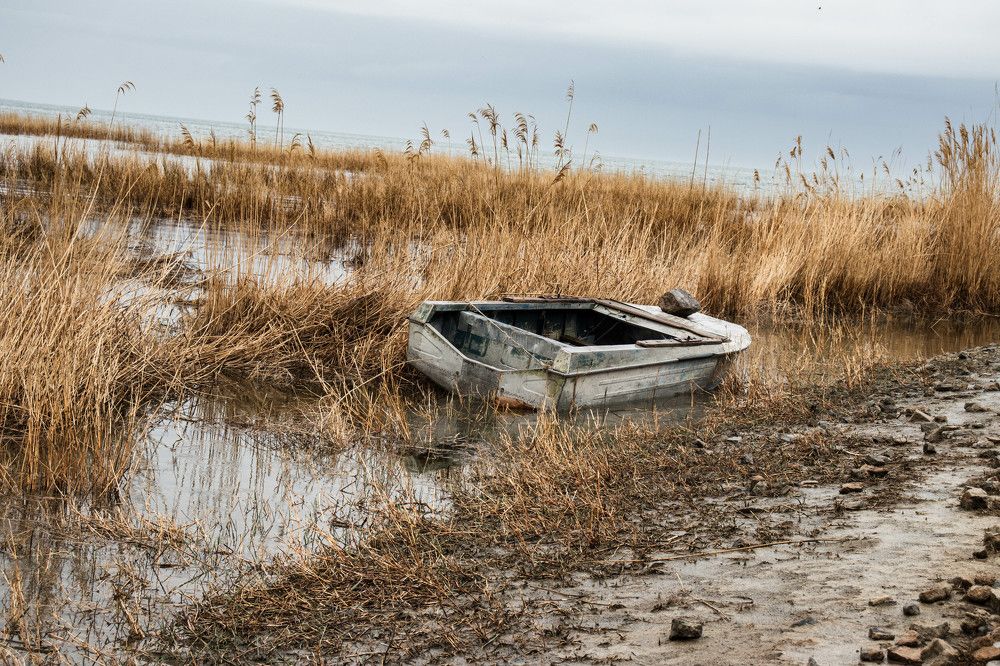 Photograph by Дарья Калугина