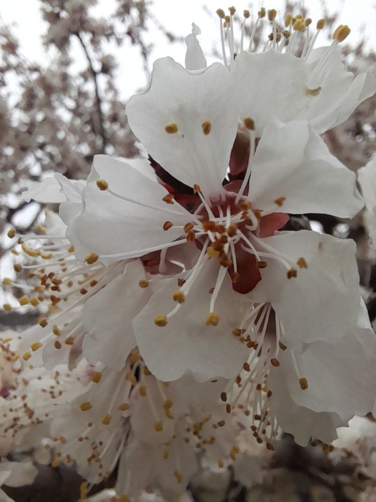 Photograph by akhror