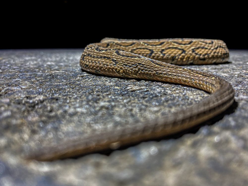 Photograph by Kalyan Chakraborty