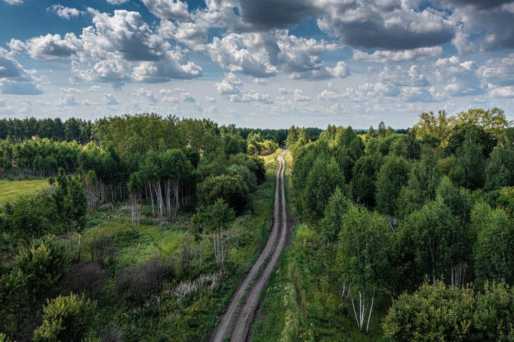 Photograph by Назаров Александр