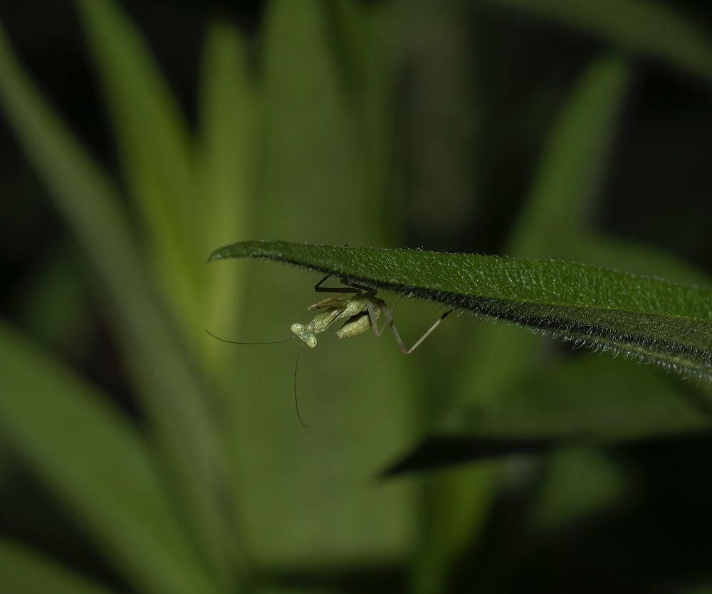 Photograph by Жанар/Zhanar Джаксыбаева/Dzhaksybaeva