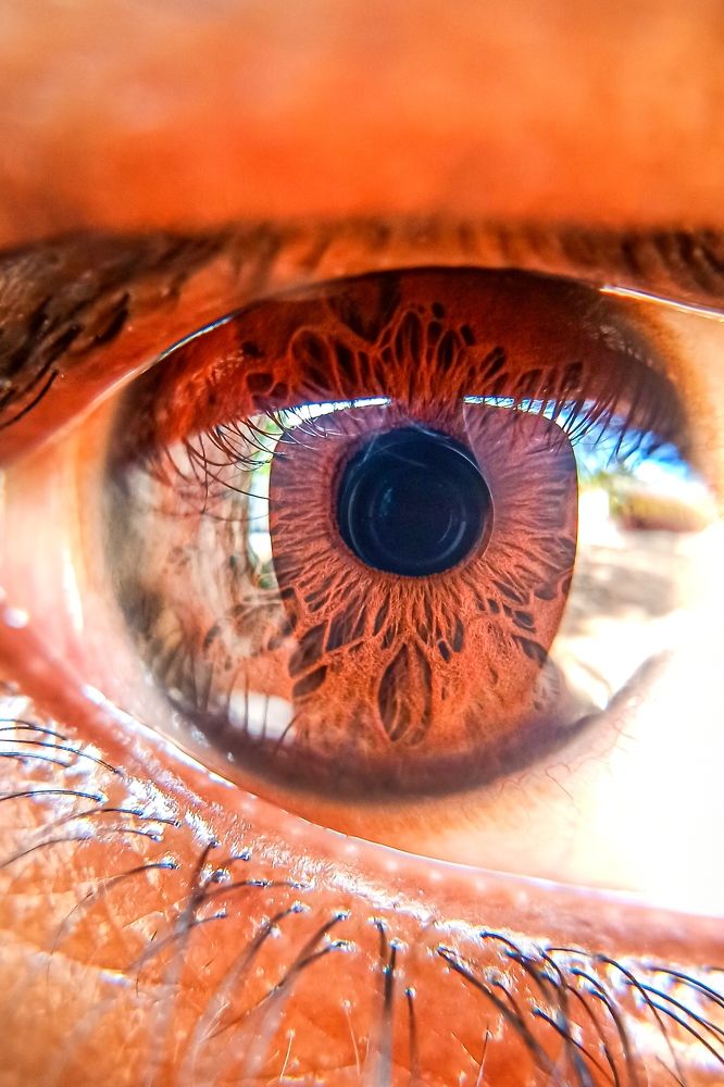 Photograph by Jinoy Gabriel